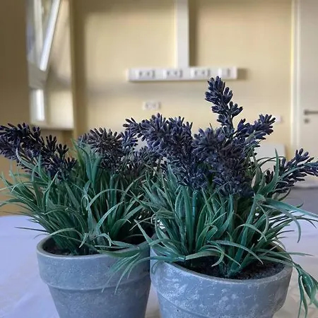 Einzimmerwohnung + Dusche Und Wc Appartamento *