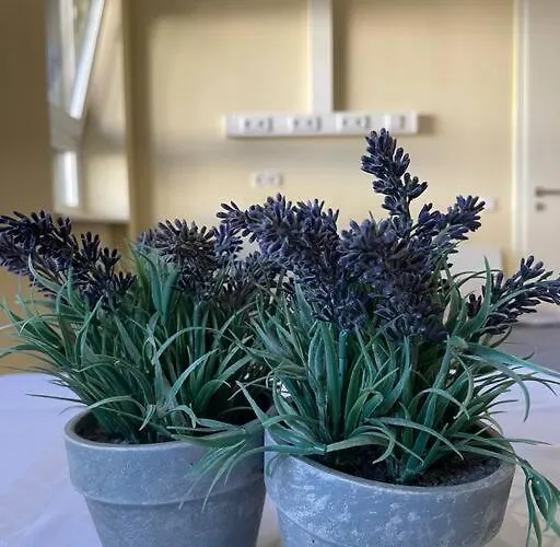 Einzimmerwohnung + Dusche Und Wc Appartamento *